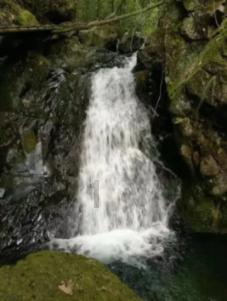 探寻鼻炎:鼻子堵塞不通气、无法呼吸热门话题,尽在鼻炎:鼻子堵塞不通气、无法呼吸红迪网